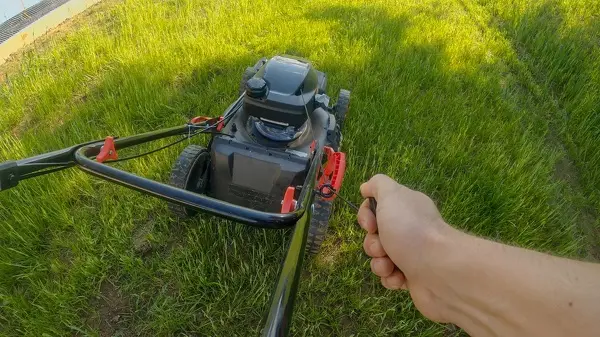 Lawn Mowing in Renton, WA