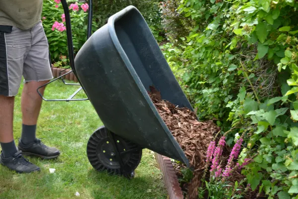 Mulching in Renton, WA