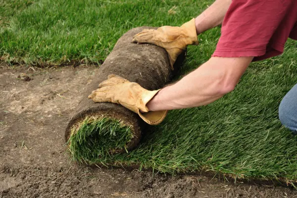 Sod Installation in Renton, WA