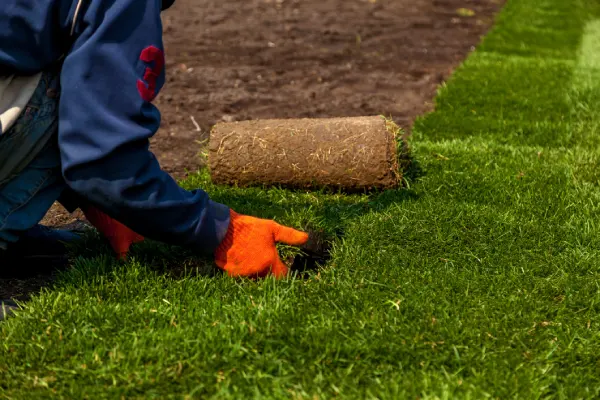 Sod Installation in Renton, WA