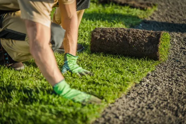 Sod Installation in Renton, WA