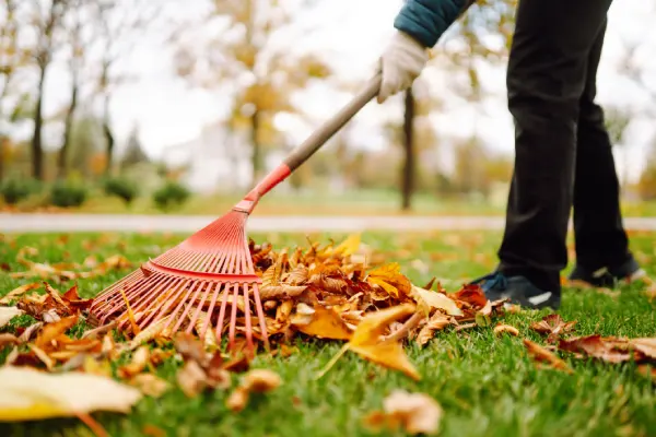 Yard Cleanup in Renton, WA