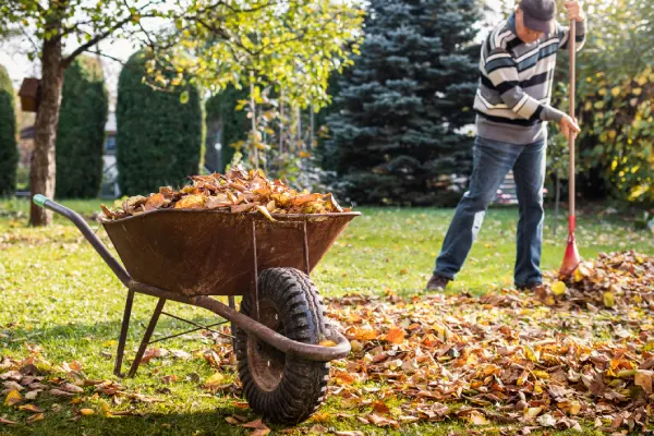 Yard Cleanup in Renton, WA